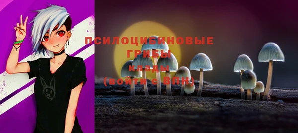 стаф Алексин