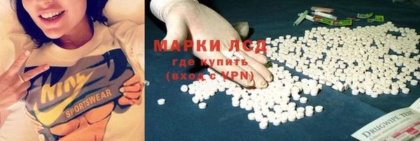 стаф Алексин