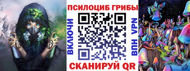как найти закладки  Киров  Галлюциногенные грибы мицелий 